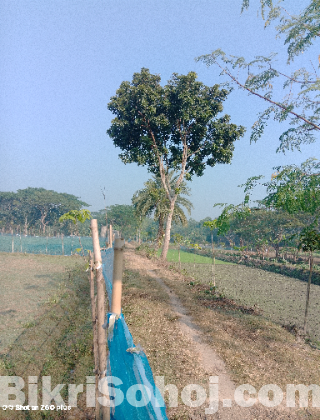 সুন্দর মনোরম পরিবেশে স্বপ্নের জমি বিক্রয় - এখনই সুযোগ!